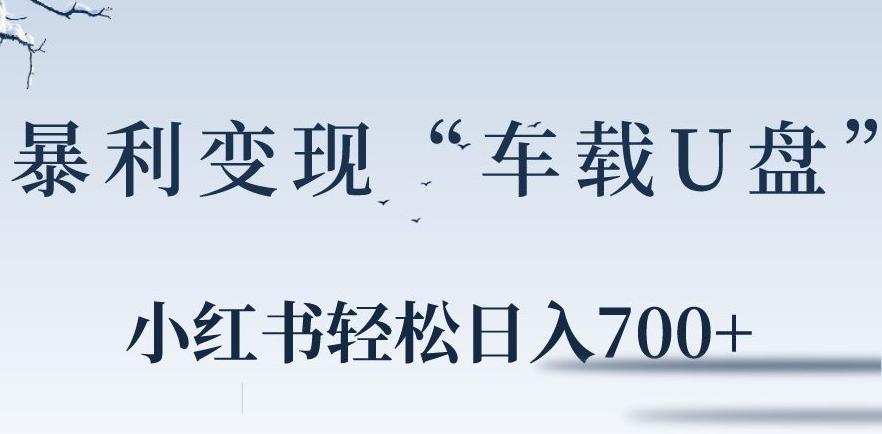 小红书“车载U盘”暴利引流，日入700+-闲赋网