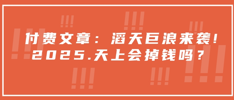 付费文章：滔天巨浪来袭！2025天上会掉钱吗？-闲赋网