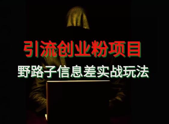 【引流创业粉】野路子信息差玩法实战教学-闲赋网