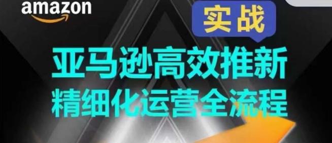 亚马逊高效推新精细化运营全流程，全方位、快速拉升产品排名和销量!-闲赋网