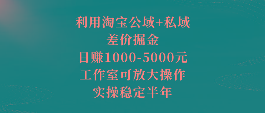 利用淘宝公域+私域差价掘金，日赚1000-5000元，工作室可放大操作，实操…-闲赋网