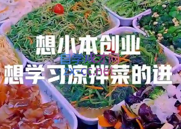 李记·精品凉拌菜系列热卤系列教程-闲赋网