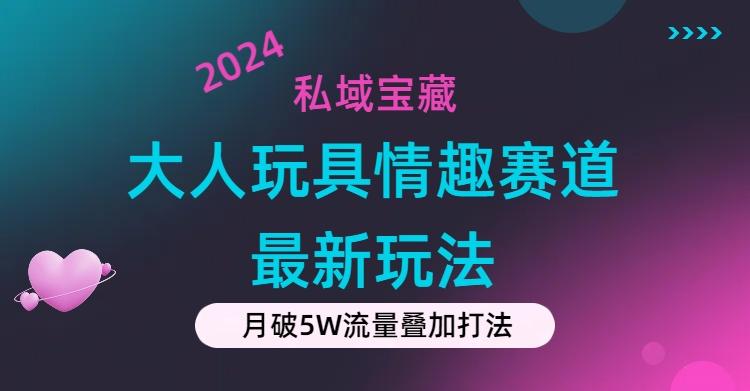 私域宝藏：大人玩具情趣赛道合规新玩法，零投入，私域超高流量成单率高-闲赋网