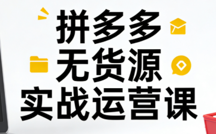 子枫老师·拼多多无货源实战运营课(更新12月)-闲赋网