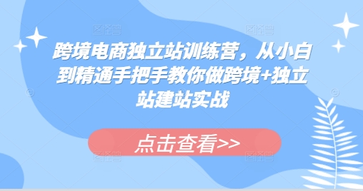 跨境电商独立站训练营，从小白到精通手把手教你做跨境+独立站建站实战-闲赋网