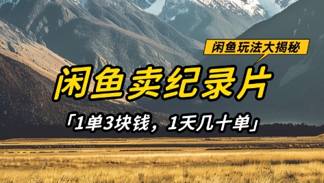 闲鱼卖纪录片1单3块钱，1天几十单，项目稳定有潜力-闲赋网