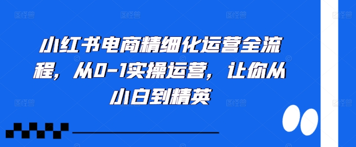 小红书电商精细化运营全流程，从0-1实操运营，让你从小白到精英-闲赋网