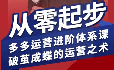 拼多多运营进阶系统课，从零起步，多多运营进阶体系课，破茧成蝶的运营之术-闲赋网