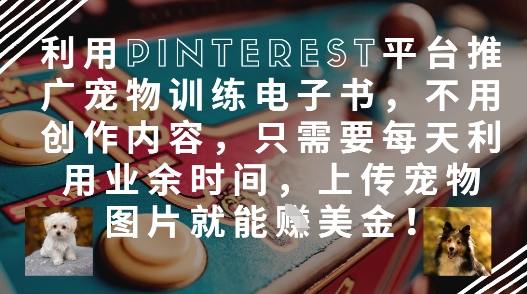 利用Pinterest平台推广宠物训练电子书，不用创作内容，只需要每天利用业余时间，上传宠物图片就能挣美金!-闲赋网