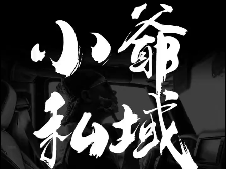 小爷·私域项目操盘手-闲赋网