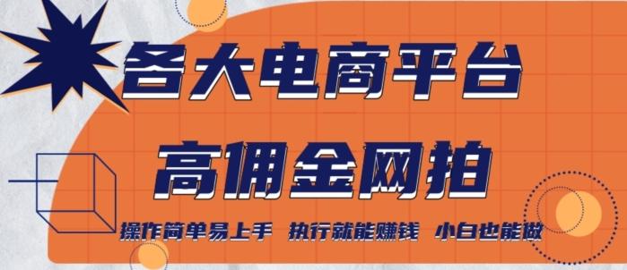 各大电商平台高佣金网拍，操作简单易上手，执行就能赚钱，小白也能做-闲赋网