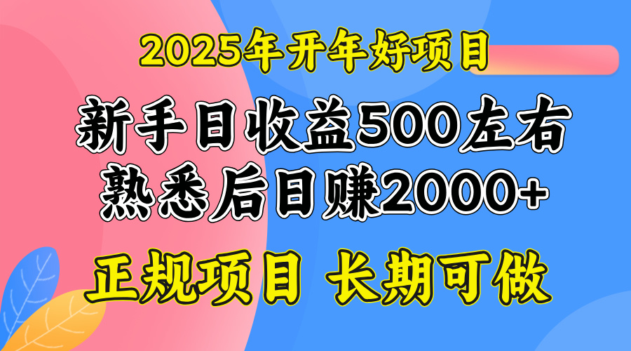 2025开年好项目，单号日收益2000左右-闲赋网