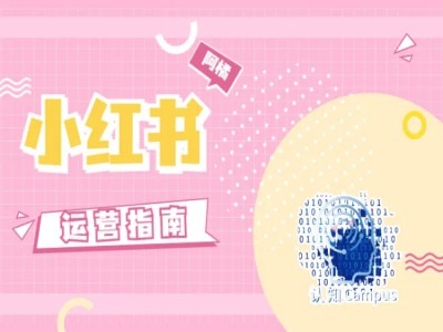 小红书运营指南，没有套路，全是经验-闲赋网