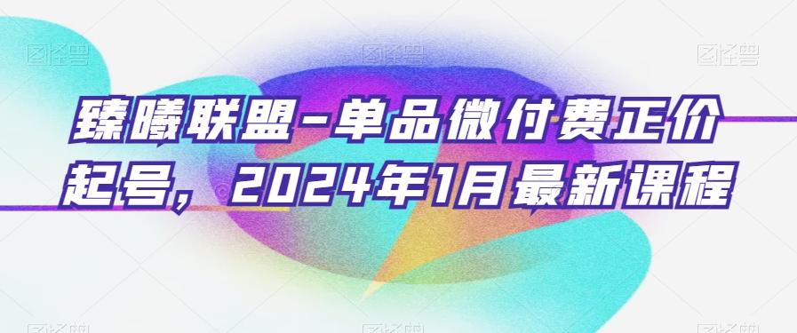 臻曦联盟-单品微付费正价起号，2024年1月最新课程-闲赋网