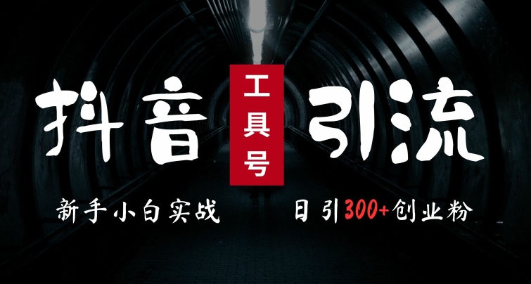2024最新抖音工具号引流玩法，高效日引300+创业粉，当天变现5k，小白也可成为实战高手-闲赋网
