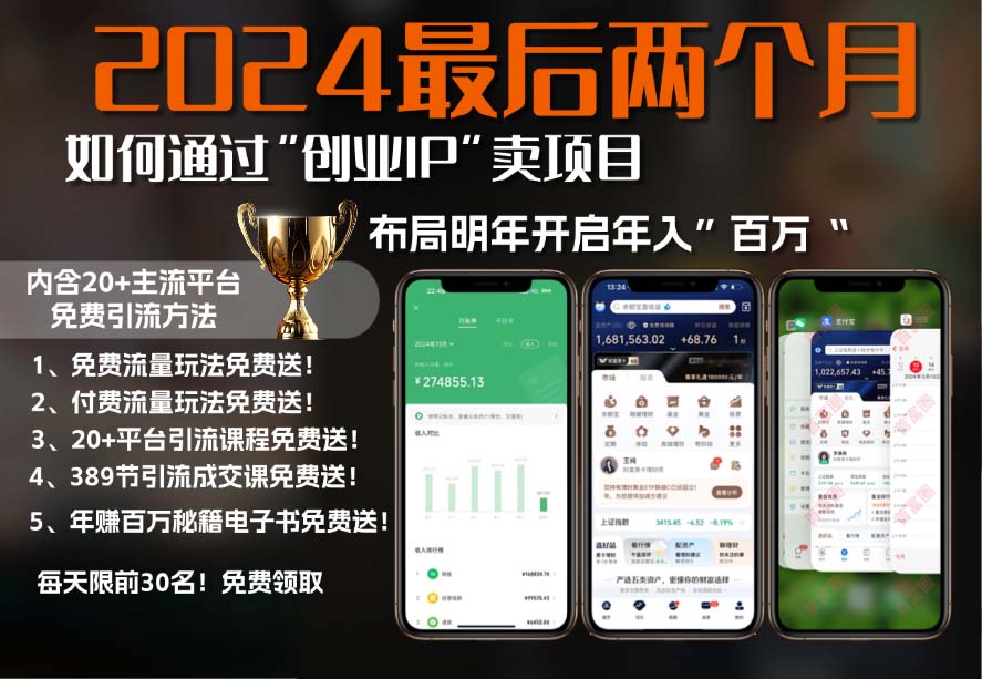 2024最后两个月如何通过”创业IP“卖项目年入”百万“,创业IP+最强引流…-闲赋网