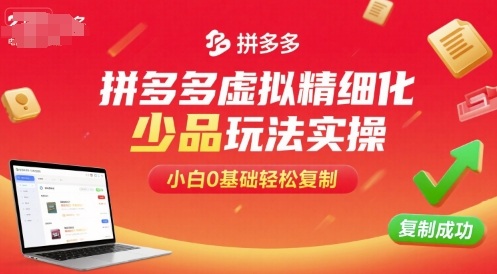 拼多多虚拟精细化少品玩法实操，小白0基础轻松复制-闲赋网