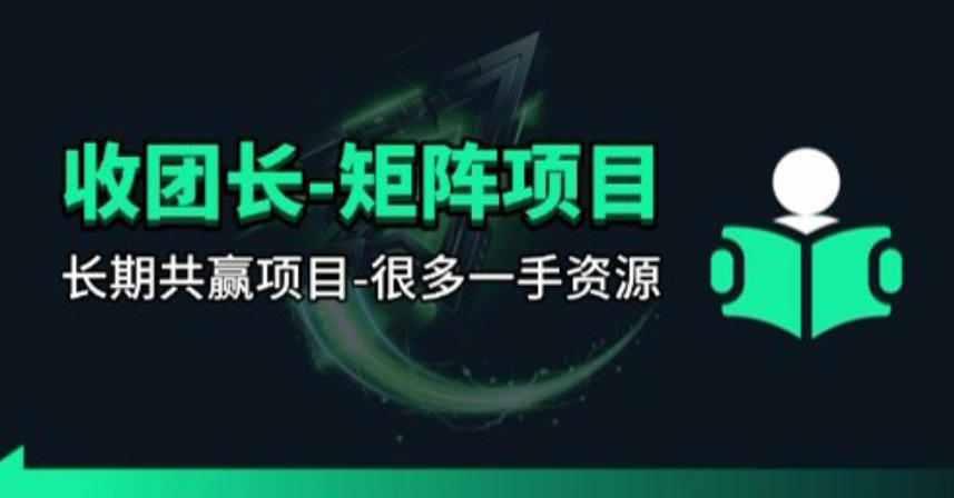 【团长合作】视频矩阵项目_招发手矩阵+剪辑师，共赢项目【揭秘】-闲赋网