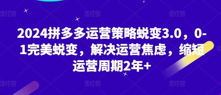 2024拼多多运营策略蜕变3.0，0-1完美蜕变，解决运营焦虑，缩短运营周期2年+-闲赋网