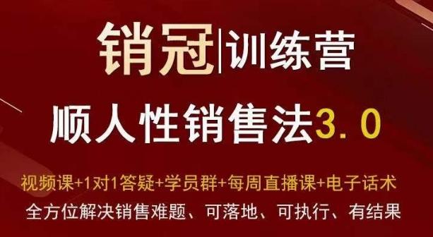 爆款！销冠训练营3.0之顺人性销售法，全方位解决销售难题、可落地、可执行、有结果-闲赋网
