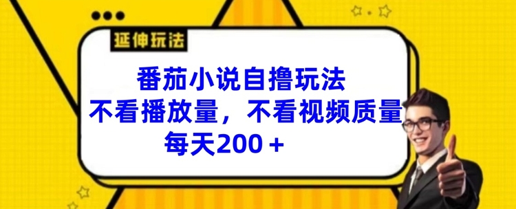 番茄小说自撸玩法，不看播放量，不看视频质量，每天200+【揭秘】-闲赋网