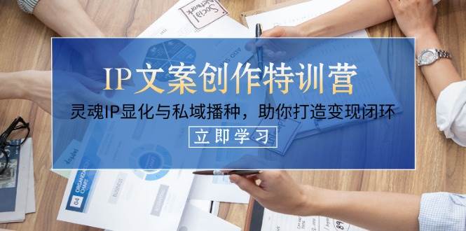 IP文案创作特训营，灵魂IP显化与私域播种，助你打造变现闭环(14节课)-闲赋网