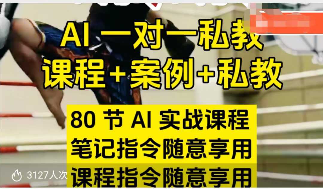 AI指令实战课，课程+案例，80节AI实战课程，笔记指令随意享用，课程指令随意享用(更新7月)-闲赋网