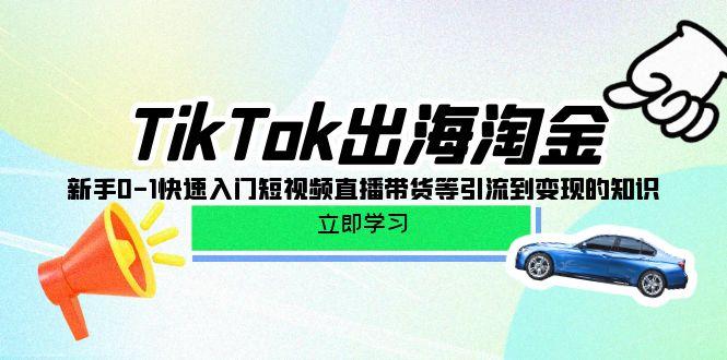 (10035期)TikTok-出海淘金，新手0-1快速入门短视频直播带货等引流到变现的知识-闲赋网