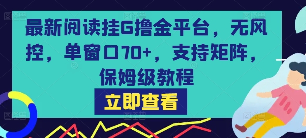 最新阅读挂G撸金平台，无风控，单窗口70+，支持矩阵，保姆级教程【揭秘】-闲赋网