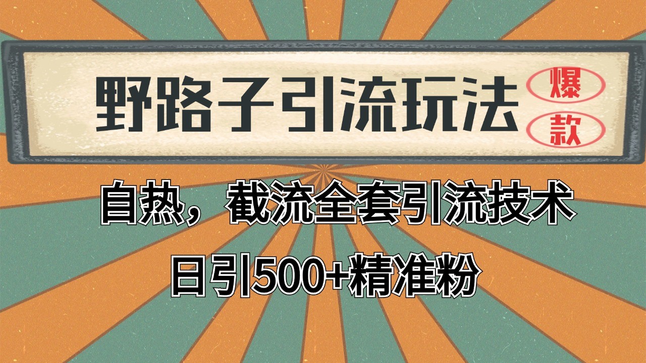 2024首发野路子引流玩法截流自热全平台打法，全自动引流【日引2000+精准客户】-闲赋网