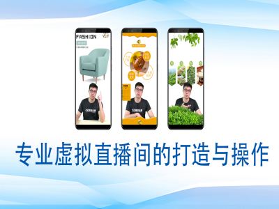 个人虚拟直播间的搭建与操作，专业虚拟直播间的打造与操作-闲赋网