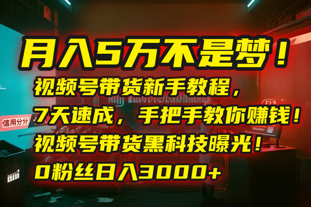 月入5万不是梦！视频号带货新手教程，7天速成，手把手教你赚钱！视频号…-闲赋网