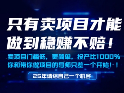 只有卖项目才能做到稳挣不赔，门槛低，更简单，你也可以年入百个W【揭秘】-闲赋网