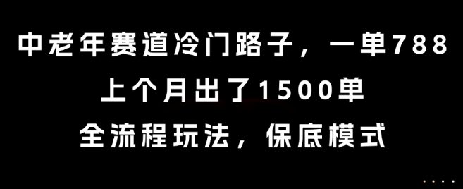 中老年赛道冷门路子，一单788，上个月出了1500单，全流程玩法，保底模式【揭秘】-闲赋网