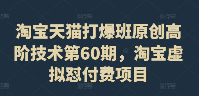 淘宝天猫打爆班原创高阶技术第60期，淘宝虚拟怼付费项目-闲赋网