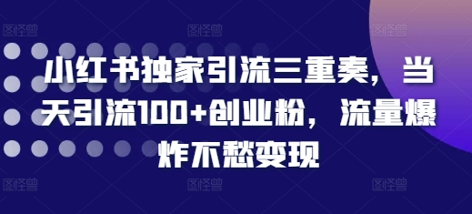 小红书独家引流三重奏，当天引流100+创业粉，流量爆炸不愁变现【揭秘】-闲赋网