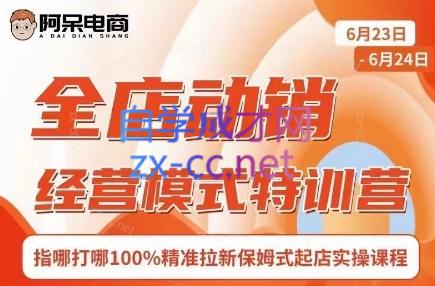 阿呆电商·全店动销经营模式特训营(线下录音+思维导图)-闲赋网