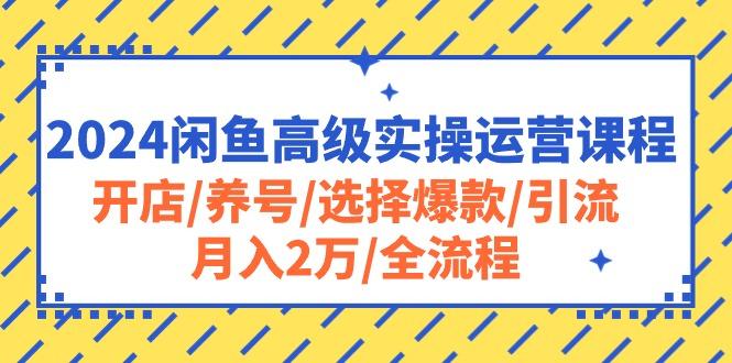 2024闲鱼高级实操运营课程：开店/养号/选择爆款/引流/月入2万/全流程-闲赋网