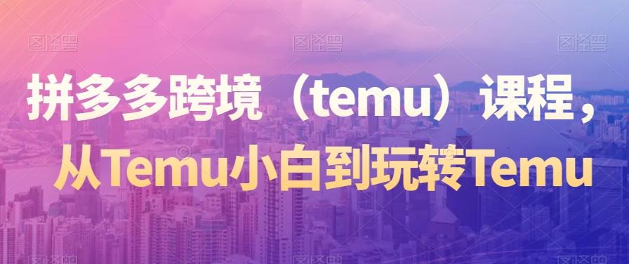 拼多多跨境（temu）课程，从Temu小白到玩转Temu-闲赋网