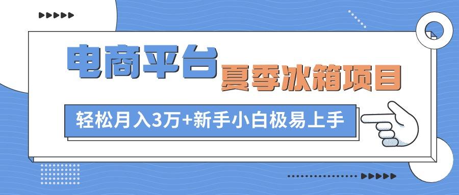 电商平台夏季冰箱项目，轻松月入3万+，新手小白极易上手-闲赋网