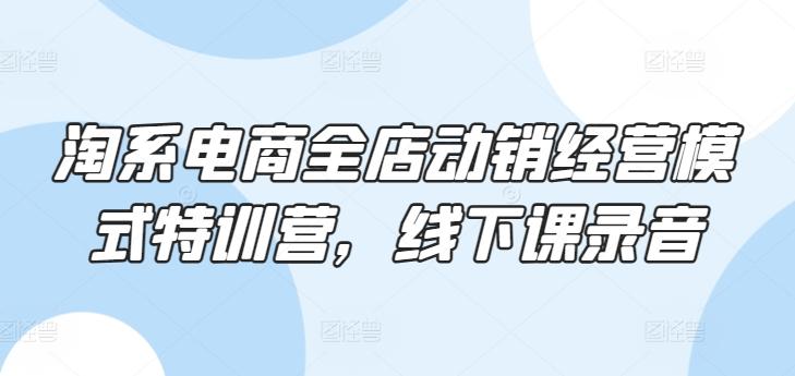 淘系电商全店动销经营模式特训营，线下课录音-闲赋网