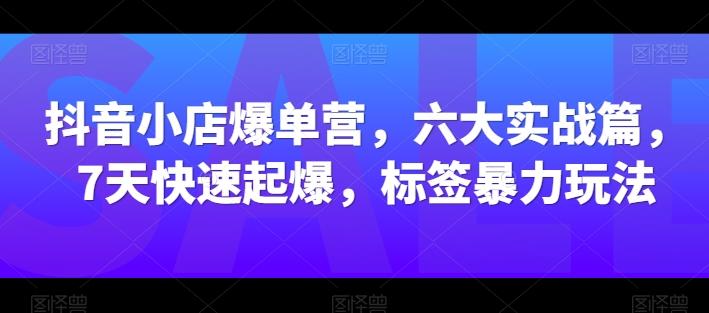 抖音小店爆单营，六大实战篇，7天快速起爆，标签暴力玩法-闲赋网
