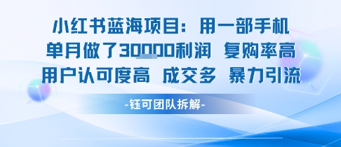 小红书蓝海项目，一部手机单月做了3W利润，小白也能月入过1W用户认可度高成交多-闲赋网