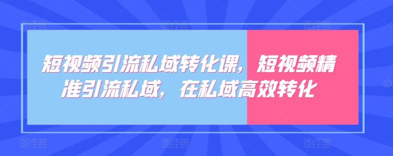短视频引流私域转化课，短视频精准引流私域，在私域高效转化-闲赋网