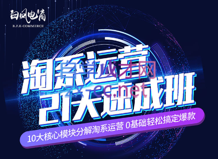 淘系运营21天速成班(更新7月)-闲赋网