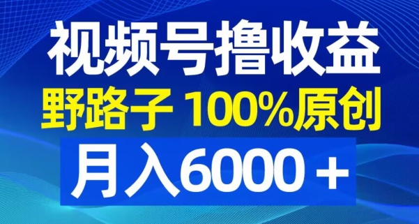 视频号野路子撸收益，100%原创，条条爆款，月入6000＋【揭秘】-闲赋网