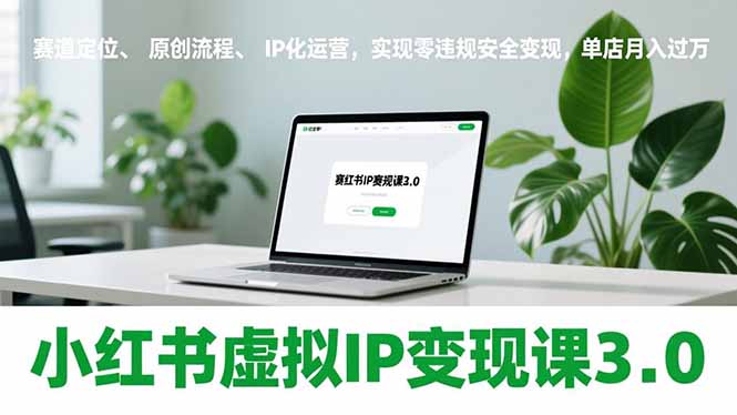 小红书虚拟IP变现课3.0，赛道定位、原创流程、IP化运营，实现零违规安全变现，单店月入过万-闲赋网