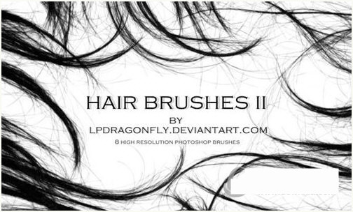 PS发丝笔刷-闲赋网