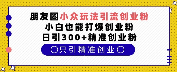 朋友圈小众玩法引流创业粉，小白也能打爆创业粉，日引300+精准创业粉【揭秘】-闲赋网