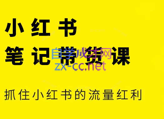 张宾·小红书笔记带货课(更新9月)-闲赋网